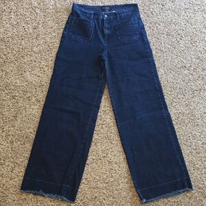 Banana Republic Navy Flare Jeans